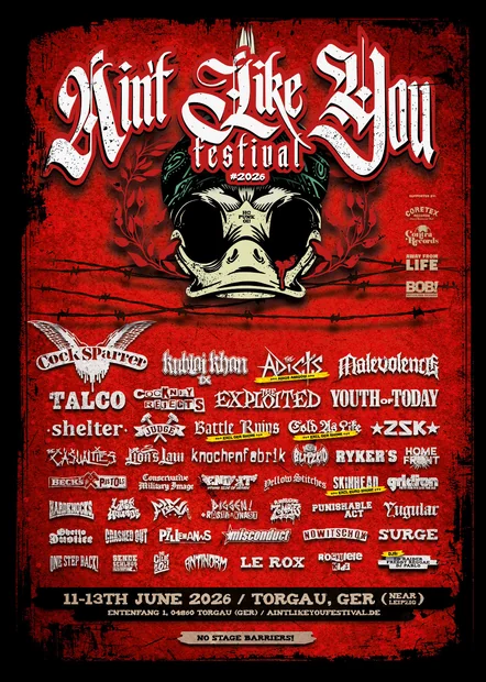 Ain't Like You - Festival - 2026